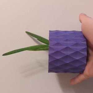 Starter plant pot 🪴 bundle to save